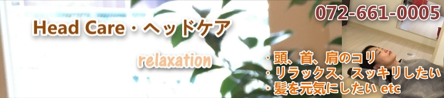 Head Care�i�w�b�h�P�A�j